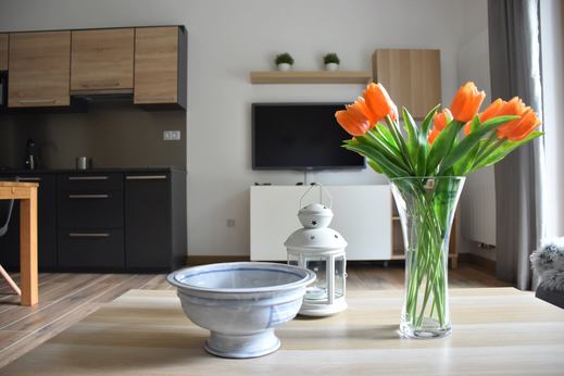 apartmany-pod-modrinem-pec-pod-snezkou-interier-008.jpg
